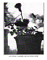 ./image_1770235629043